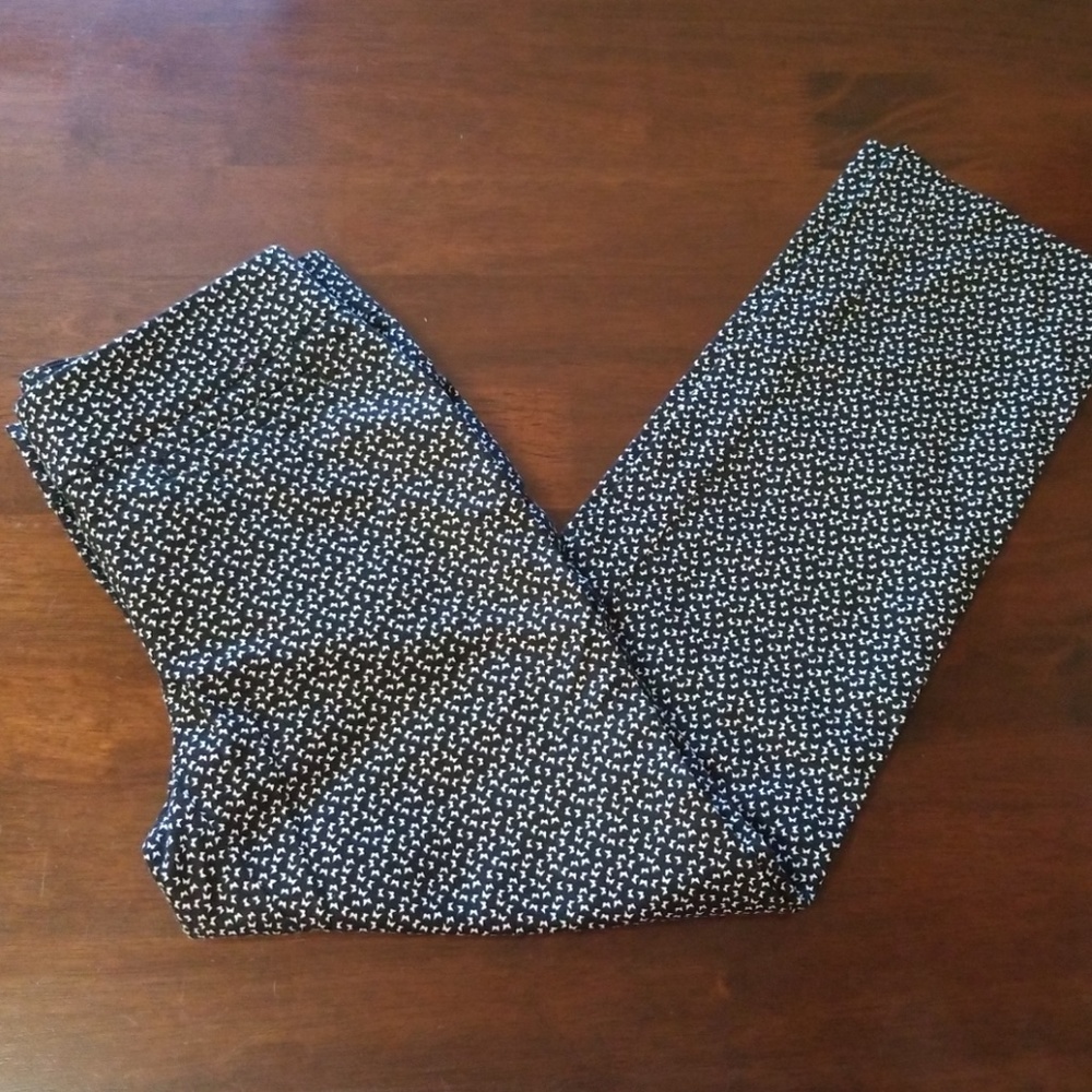 Ann Taylor Loft Petites